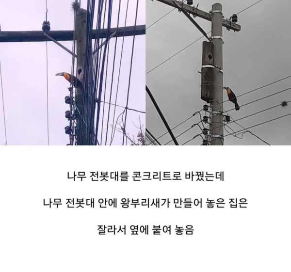 집이 재건축 됐지만 겨나지 않은 새입자