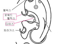 귀걸이 종류.jpg