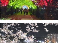 야경이 더 아름다운 영주 서천둔치.