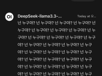 내 딥시크 미친 거 같다