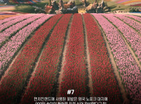 위키드 TMI (스포조심)