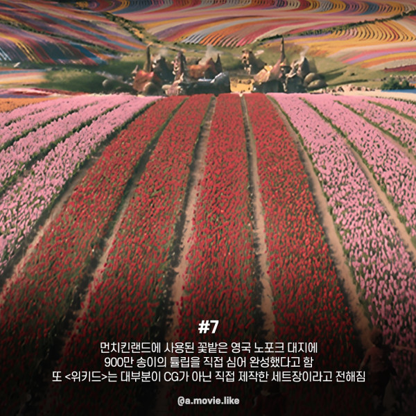 위키드 TMI (스포조심)