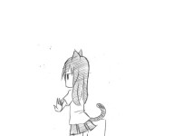 개와 고양이 차이점