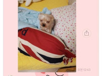 외박하는 날 엄마한테 온 카톡