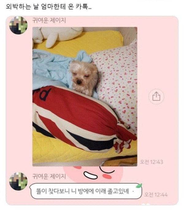 외박하는 날 엄마한테 온 카톡