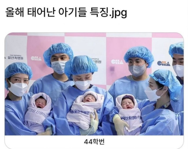 올해 태어난아기들 특징