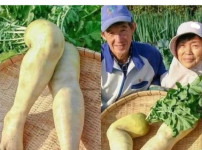 무다리 실물구경