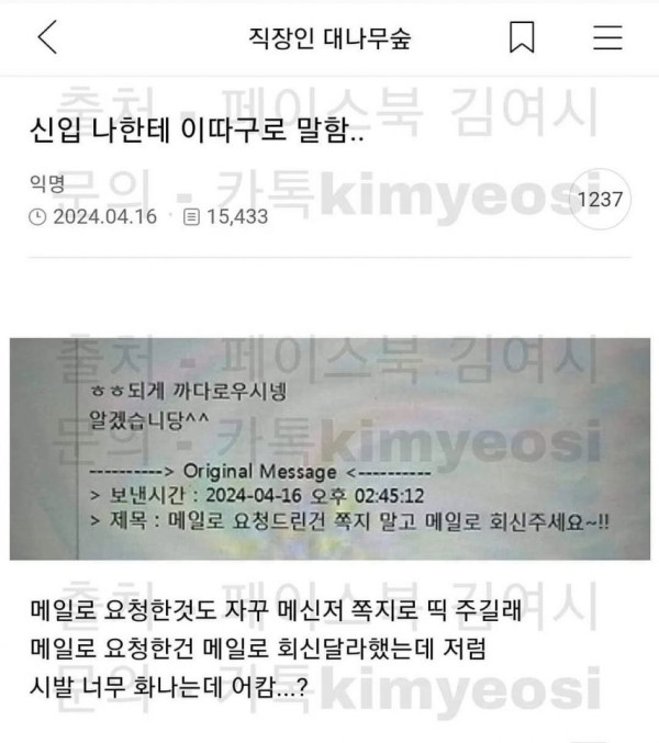 화남주의) 신입이 나한테 이따구로 말함....jpg