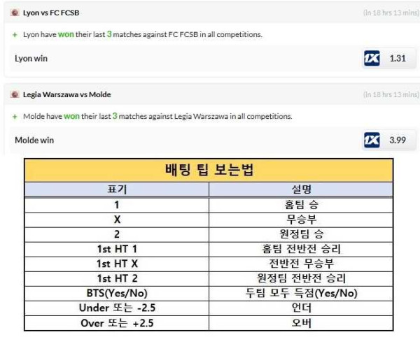 2025년3월13일 해외팁스터픽  올스티비