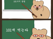 아이스크림을 맛있게 먹는 101가지 방법