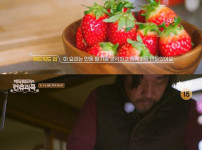 딸기 농가 살리는