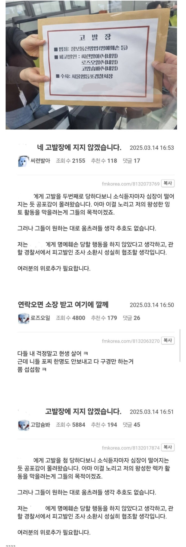 펨베애들 허은아 고소장 당한거 반응