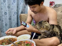 고양이에게 남편을 빼앗긴것 같다는 아내가 찍은 사진