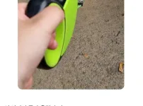 모르는 아저씨가 개 맡기고감