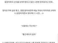 외국인 손 따준 썰