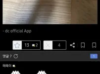 지금 난리난 디시 실탄 인증.jpg