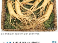 산삼과 인삼의 차이.