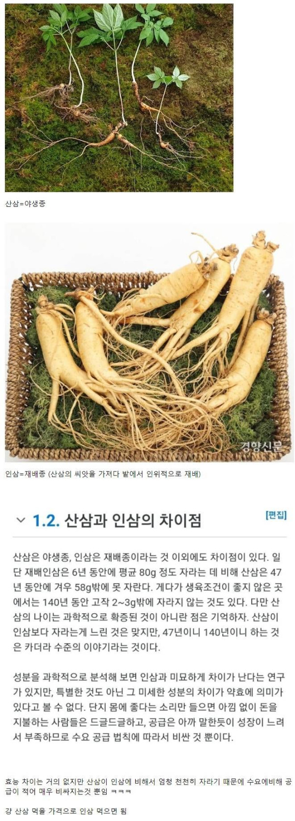 산삼과 인삼의 차이.