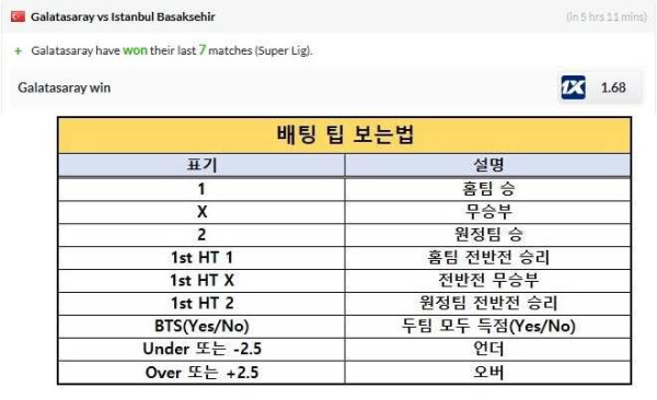 2025년5월30일 해외팁스터픽  올스티비