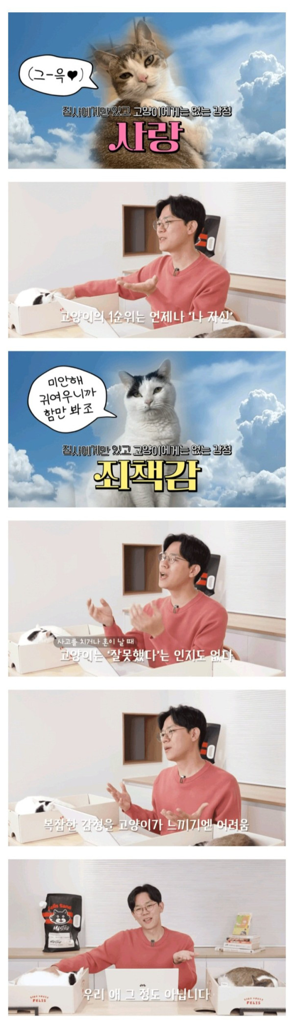 고양이에게는 없는 감정