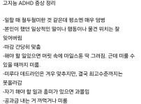 정신과 의사 본인도 해당된다는 고지능 ADHD