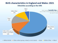 와들와들 영국 신생아 백인 비율
