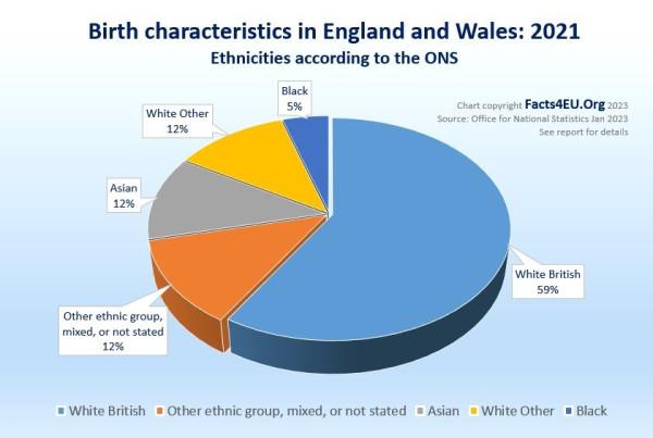 와들와들 영국 신생아 백인 비율