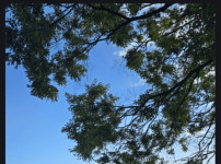 불꽃축제.. 영포티 신작 ㄷㄷㄷㄷㄷ