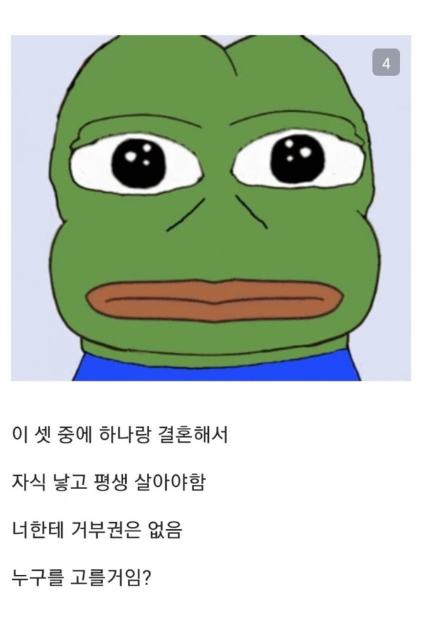 선택 난이도 MAX라는 씹덕들 신부후보 고르기