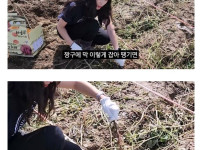 충주맨 팀원들 근황