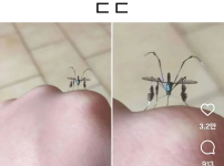 왠지 물리면 안 될거 같은 모기
