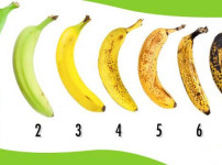 사람마다 갈린다는 바나나 취향