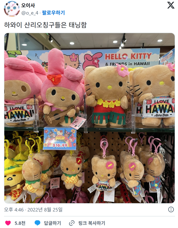 하와이에서 파는 산리오 인형...