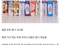 개인적으로 걸린 일본은 차원 달라병