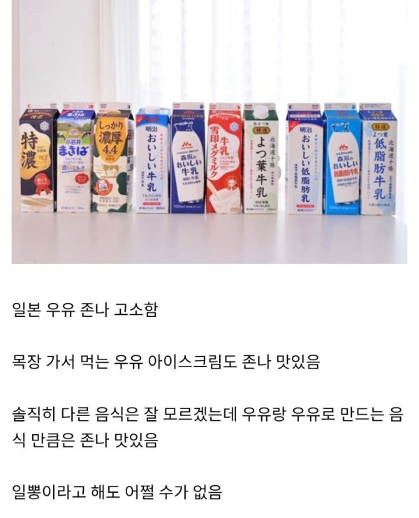 개인적으로 걸린 일본은 차원 달라병