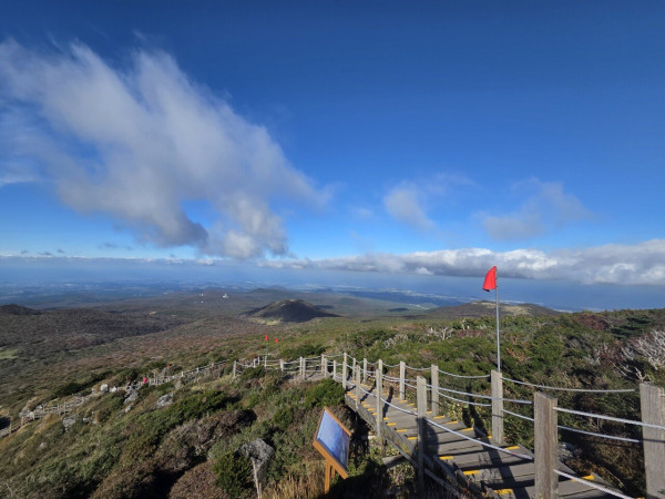 백수 기념 제주여행 2일차