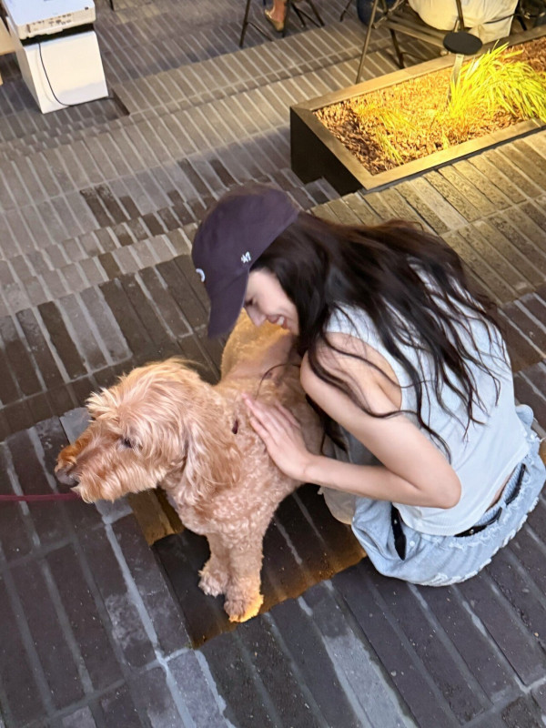 최근자 배우 신시아 인스타 업로드