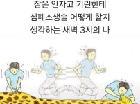 의외로 궁금한거