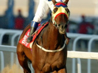 경마장에서 잘팔리는 커피는?