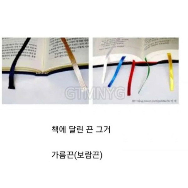 알려줘도 내일이면 까먹는 단어