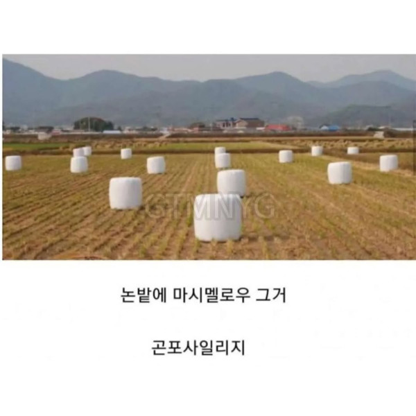 알려줘도 내일이면 까먹는 단어