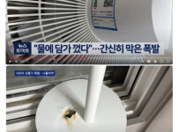 선풍기 틀어 놓고 자면 죽는다가 사실이었네