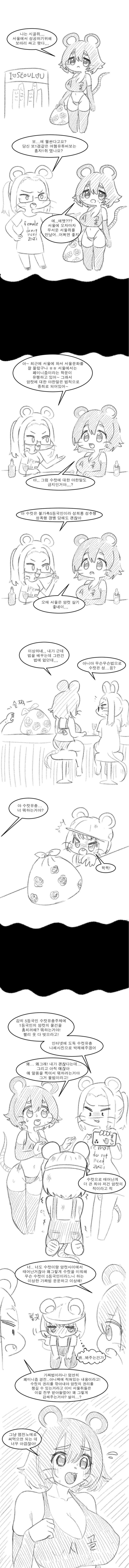 시골쥐와 도시쥐 만화