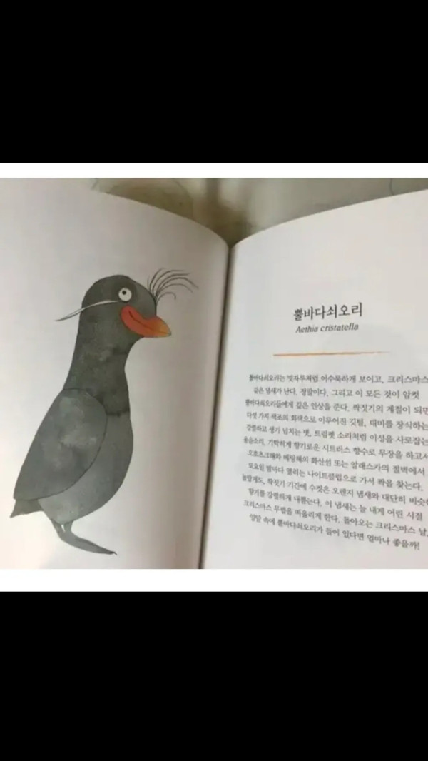 얘 진짜 이렇게 생겼음.