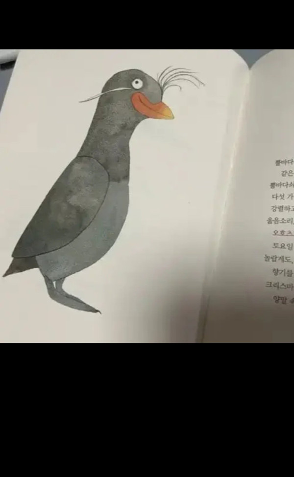 얘 진짜 이렇게 생겼음.