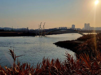 오늘의 점심 및 산책