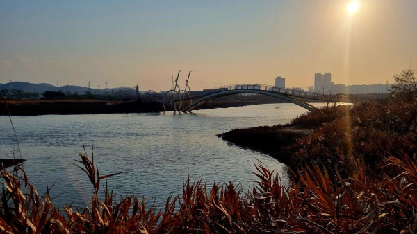 오늘의 점심 및 산책
