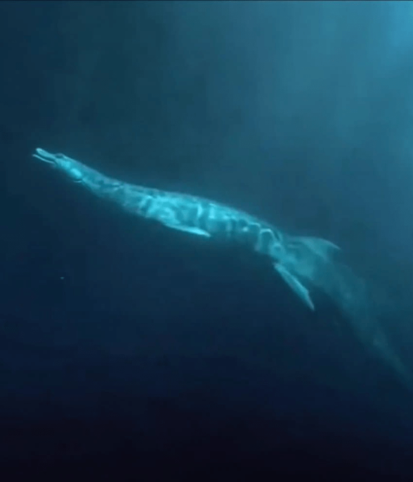 캘리포니아에서 미기록 심해생물 발견