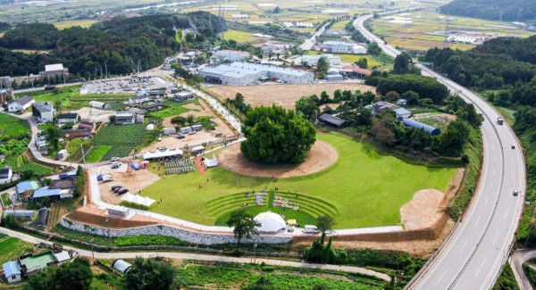 나무 한그루를 위해 광장 만들고 주차장도 만들고 길도 닦은 원주