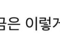 나무 한그루를 위해 광장 만들고 주차장도 만들고 길도 닦은 원주